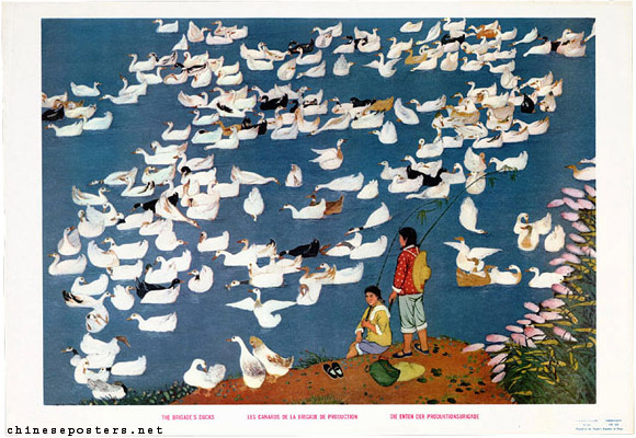 The brigade's ducks