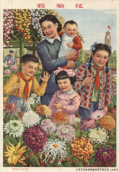 Looking at the chrysanthemums