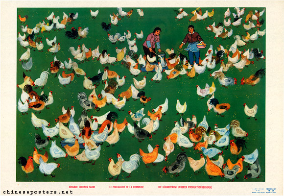 Brigade chicken Farm