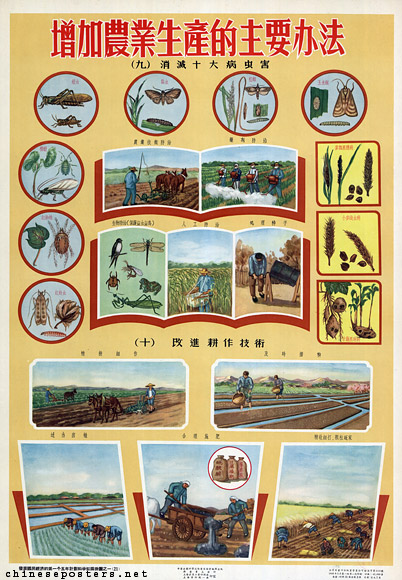 Important methods to increase agricultural production, 1956