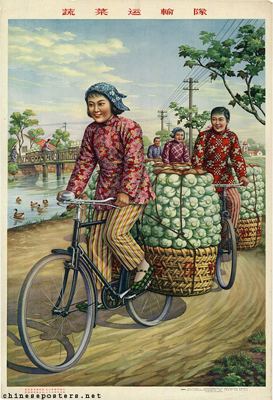 Vegetable transport team