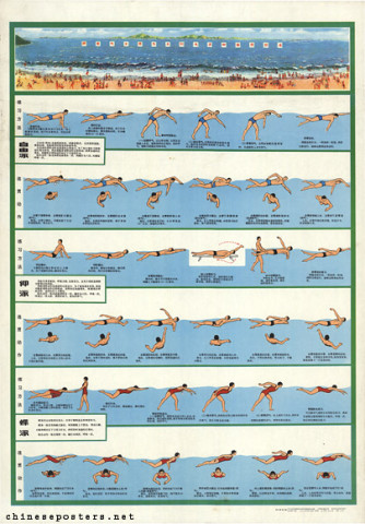 Swimming tutorial wall chart - Freestyle - Backstroke - Butterfly stroke