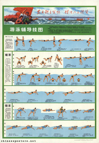 Swimming tutorial wall chart - Breaststroke - Sidestroke