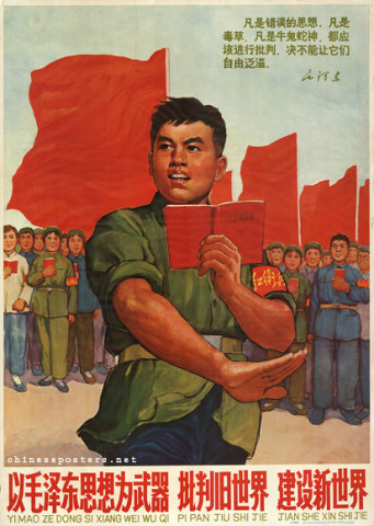 Cultural Revolution Campaigns 