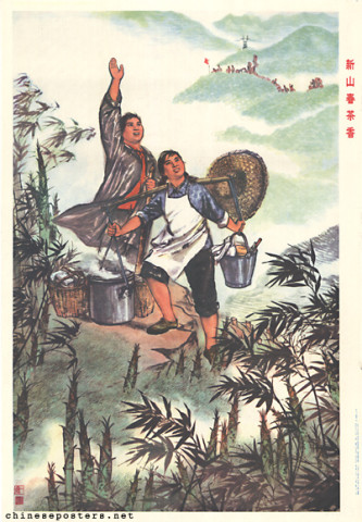 New spring mountain tea is fragrant