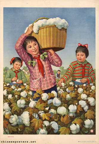 Helping the community to harvest cotton