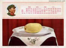 The great leader Chairman Mao's treasured gift to the Workers' Mao Zedong Thought Propaganda Teams of the capital - a mango