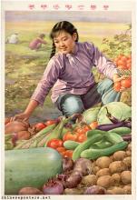 Jin Meisheng - The vegetables are green, the cucumbers plump, the yield is abundant