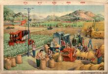 The future of the countryside