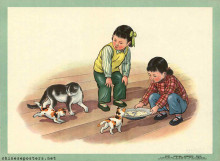 Kitty, kitty, come and eat fish